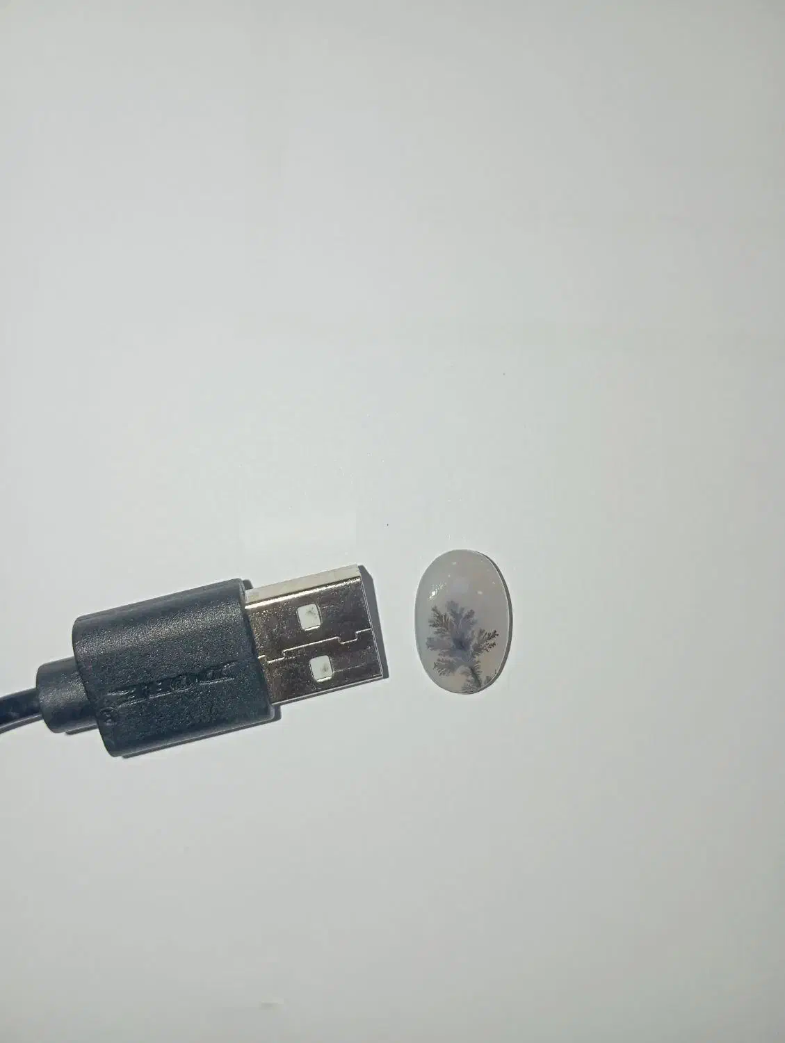 نگین شجر تک درخت کلکسیونی|کلکسیون اشیاء عتیقه|سیرجان, |دیوار