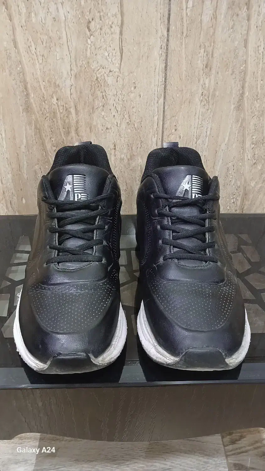 کفش|کیف، کفش، کمربند|کازرون, |دیوار