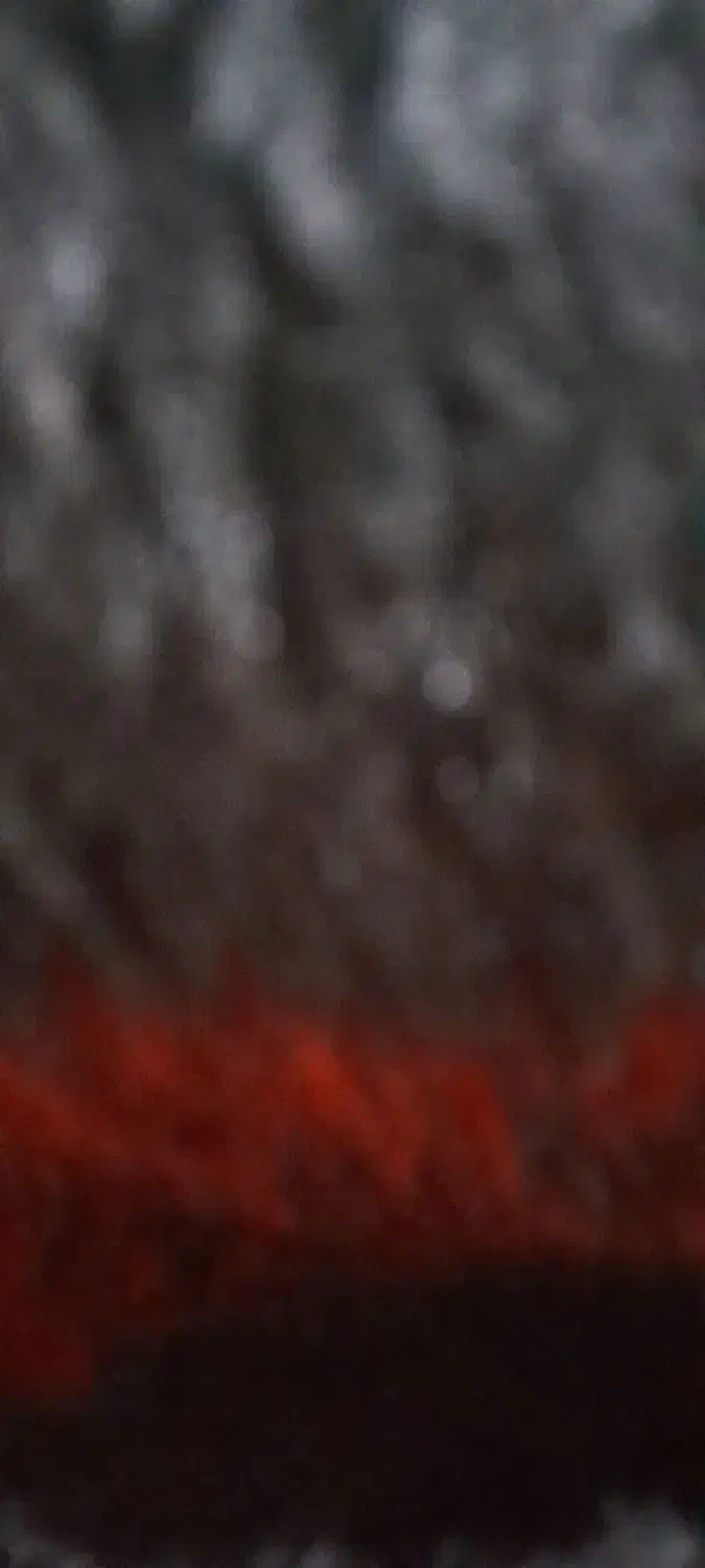 پوسترشهدا|فعالیت داوطلبانه|قم, زنبیل آباد|دیوار