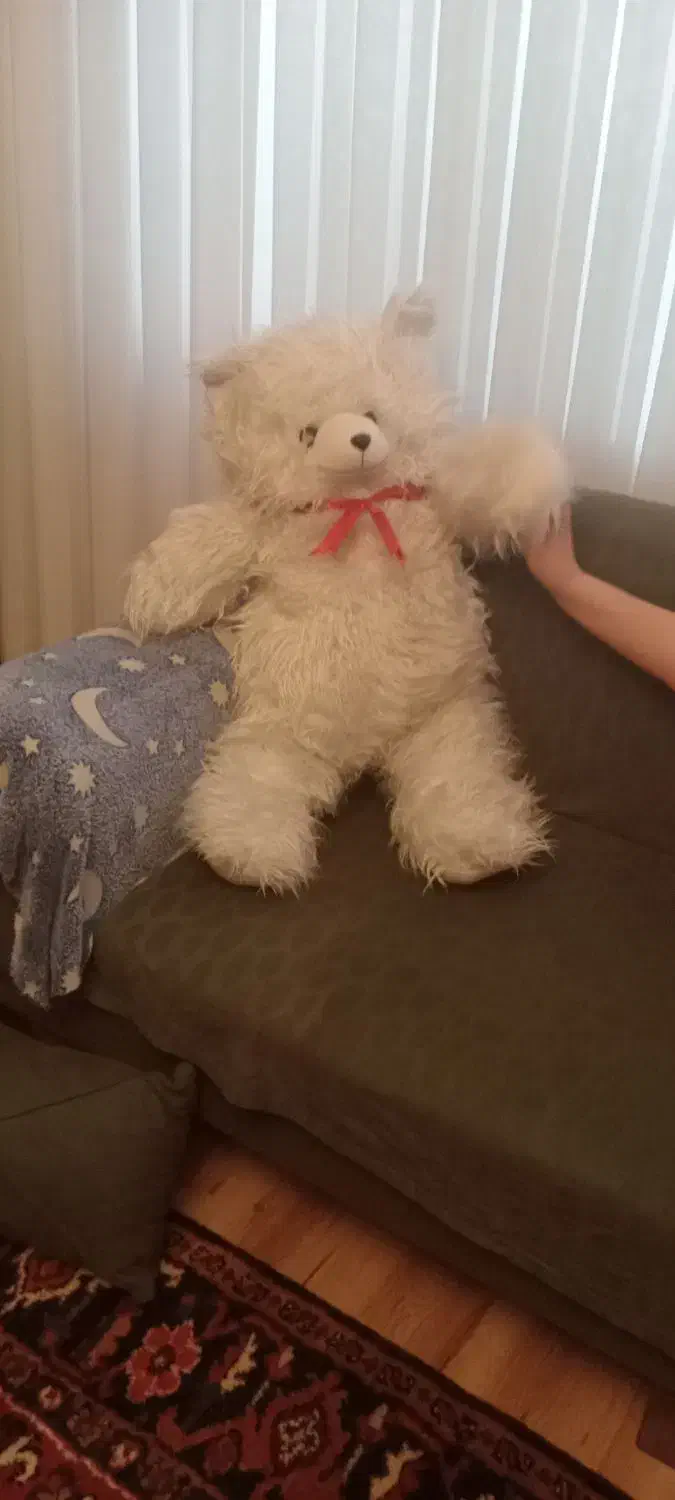 خرس  سایزنود|اسباب‌‌بازی|تبریز, |دیوار