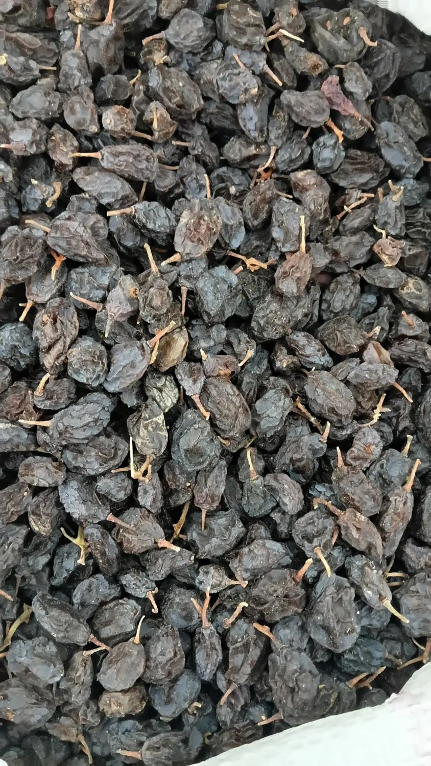 مویز|خوردنی و آشامیدنی|علامرودشت, |دیوار