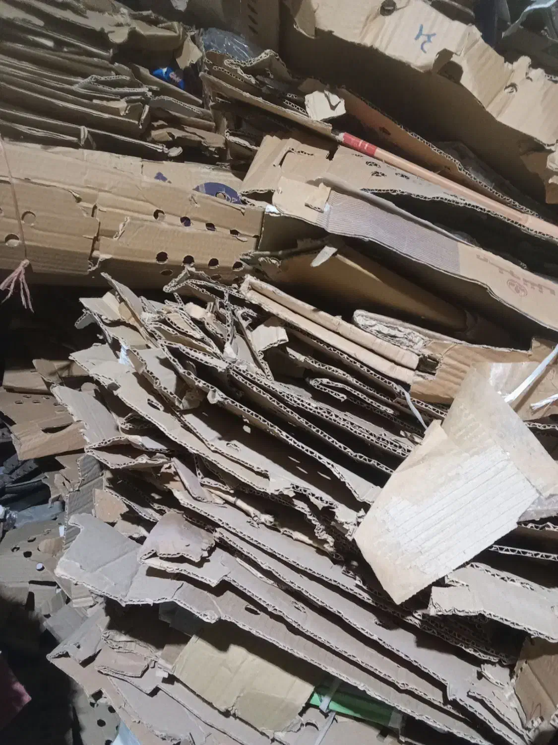 خریدار کارتن شرکتهای کوهین وحومه|خدمات پیشه و مهارت|کوهین, |دیوار