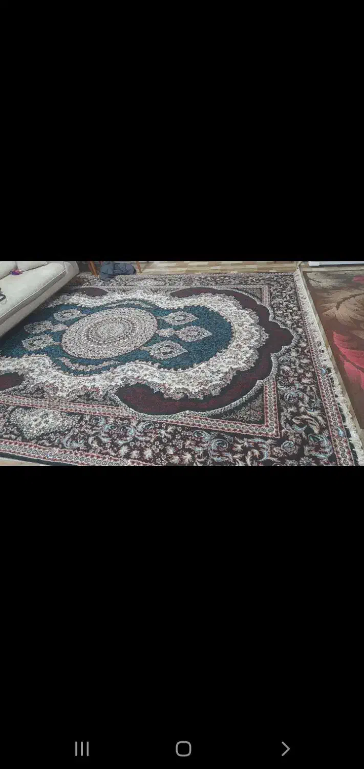 فرش ۱۲ متری سالم|فرش|دلند, |دیوار