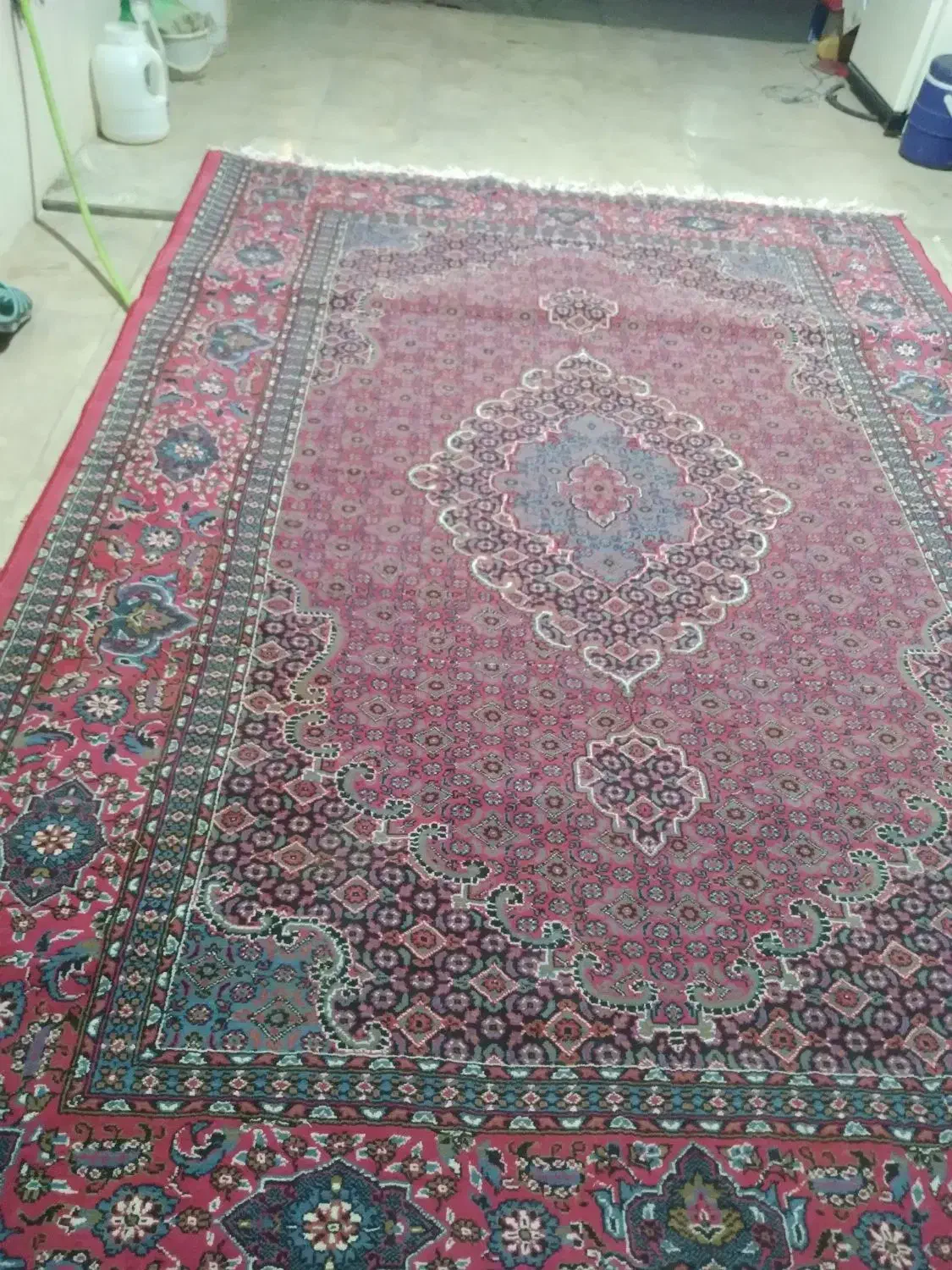 فرش ۶متدی|فرش|نورآباد, |دیوار