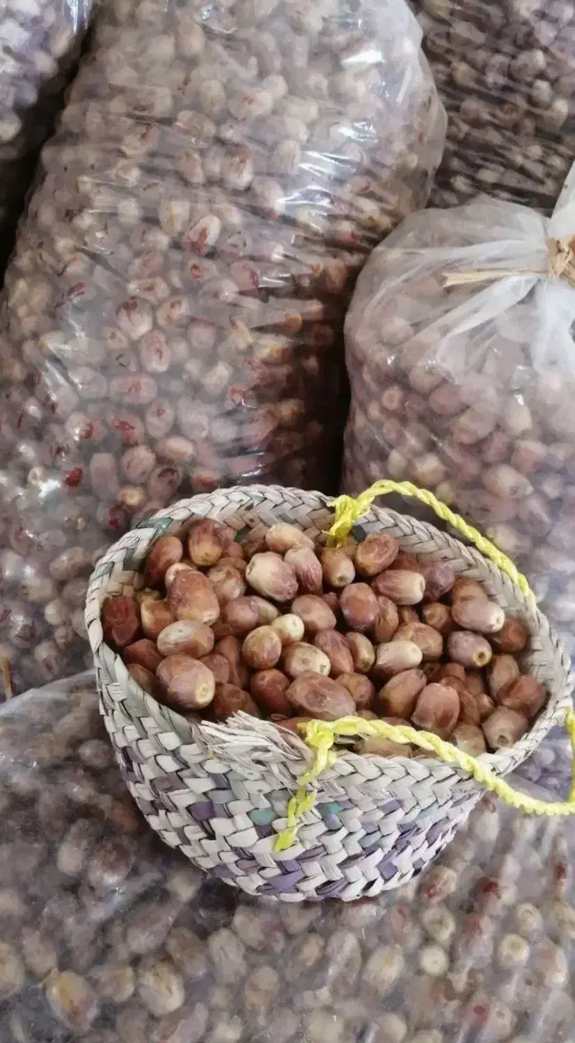 قصب ، خرمای شاهانی،شیره خرما و خارک بند شده جهرم|خوردنی و آشامیدنی|شیراز, گود خزینه|دیوار