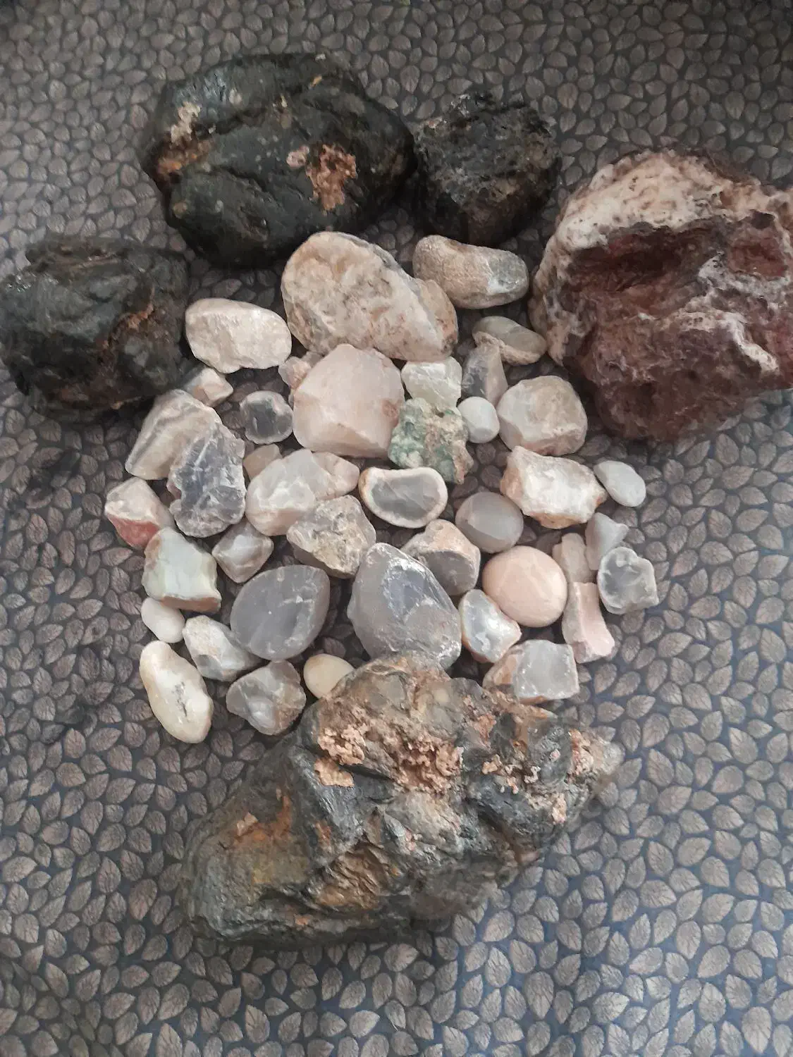 سنگ شجر|کلکسیون اشیاء عتیقه|زنجان, |دیوار