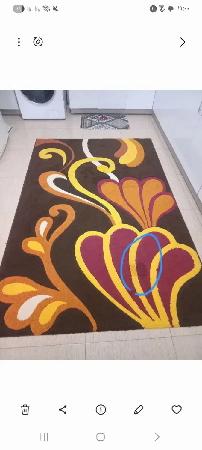 فرش آشپزخونه|گلیم، جاجیم، گبه|قوچان, |دیوار