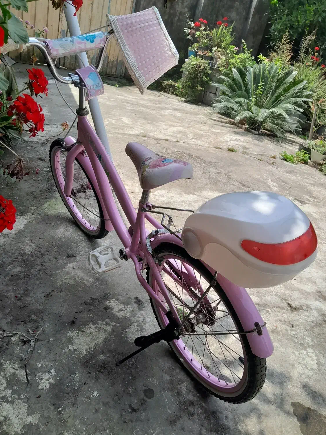 دوچرخه دخترانه|دوچرخه، اسکیت، اسکوتر|بندر انزلی, میان پشته|دیوار