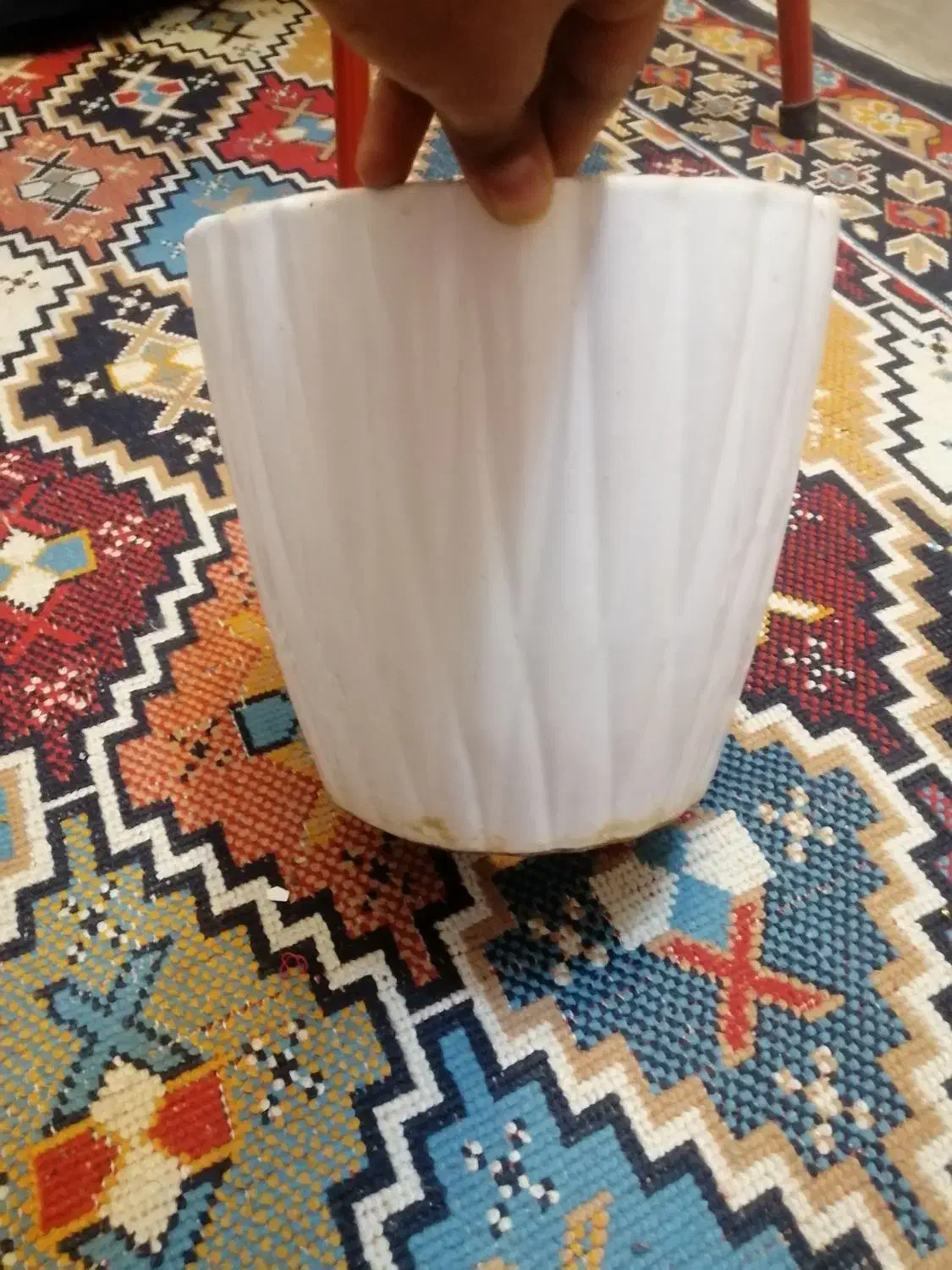 گلدون|گل و گیاه طبیعی|مشهد, نوید|دیوار