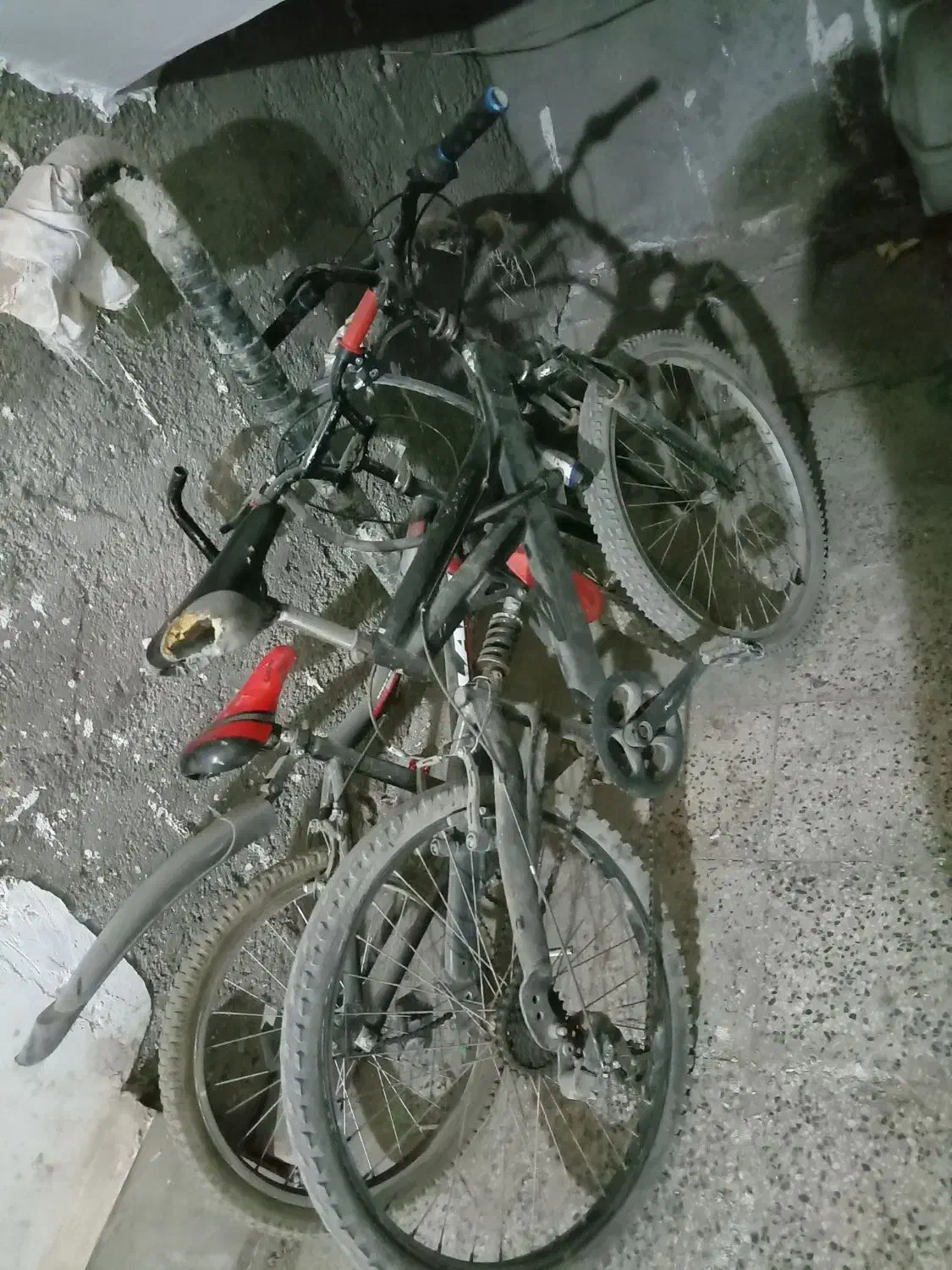 دوچرخه 24 ماکسیما|دوچرخه، اسکیت، اسکوتر|بیرجند, |دیوار