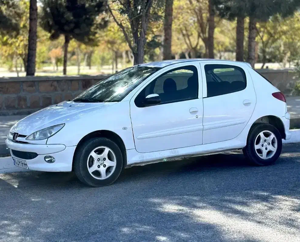 206 سفارشی|خودرو سواری و وانت|بردسکن, |دیوار