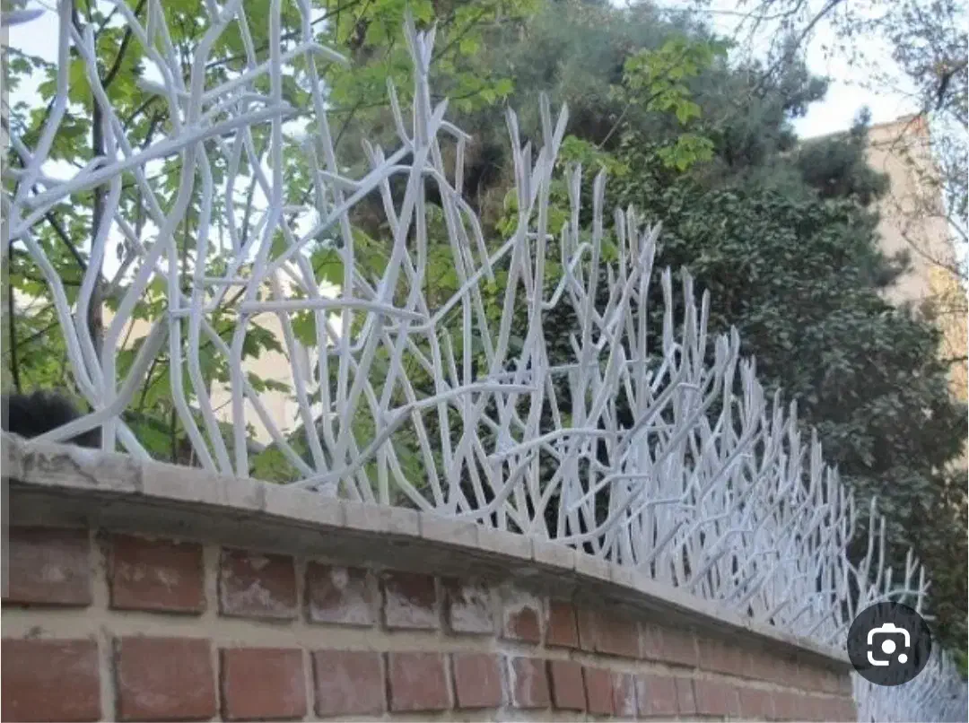 شاخ گوزنی. حفاظ روی دیوار. صنایع امنیتی ایمن ایذه|مصالح و تجهیزات ساختمان|ایذه, |دیوار