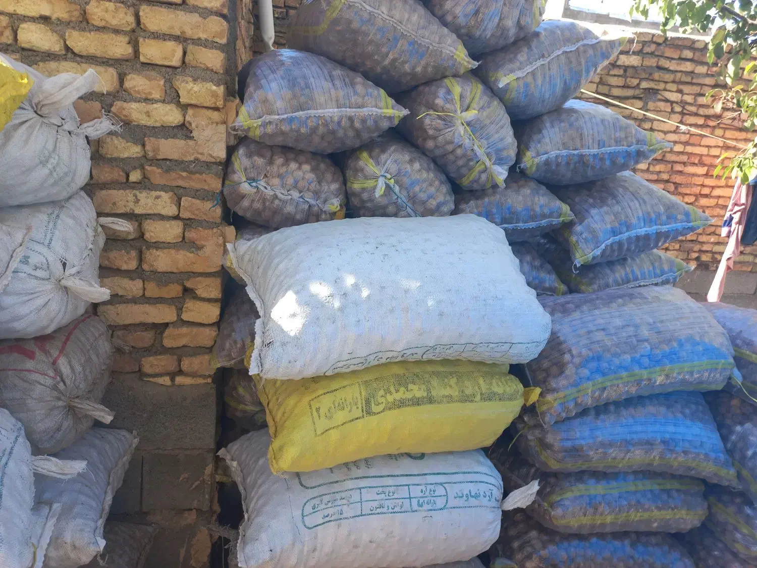 باسلام گردوبصورت عمده بفروش میرسدفقط تماس باتخفیف|عمدهفروشی|اردل, |دیوار