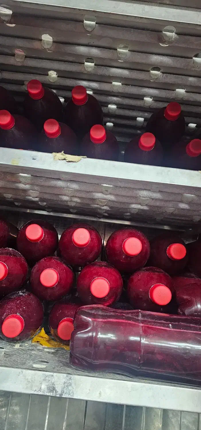 فروش یخچال فریزر زیر صفر و بالای صفر|یخچال و فریزر|داراب, |دیوار