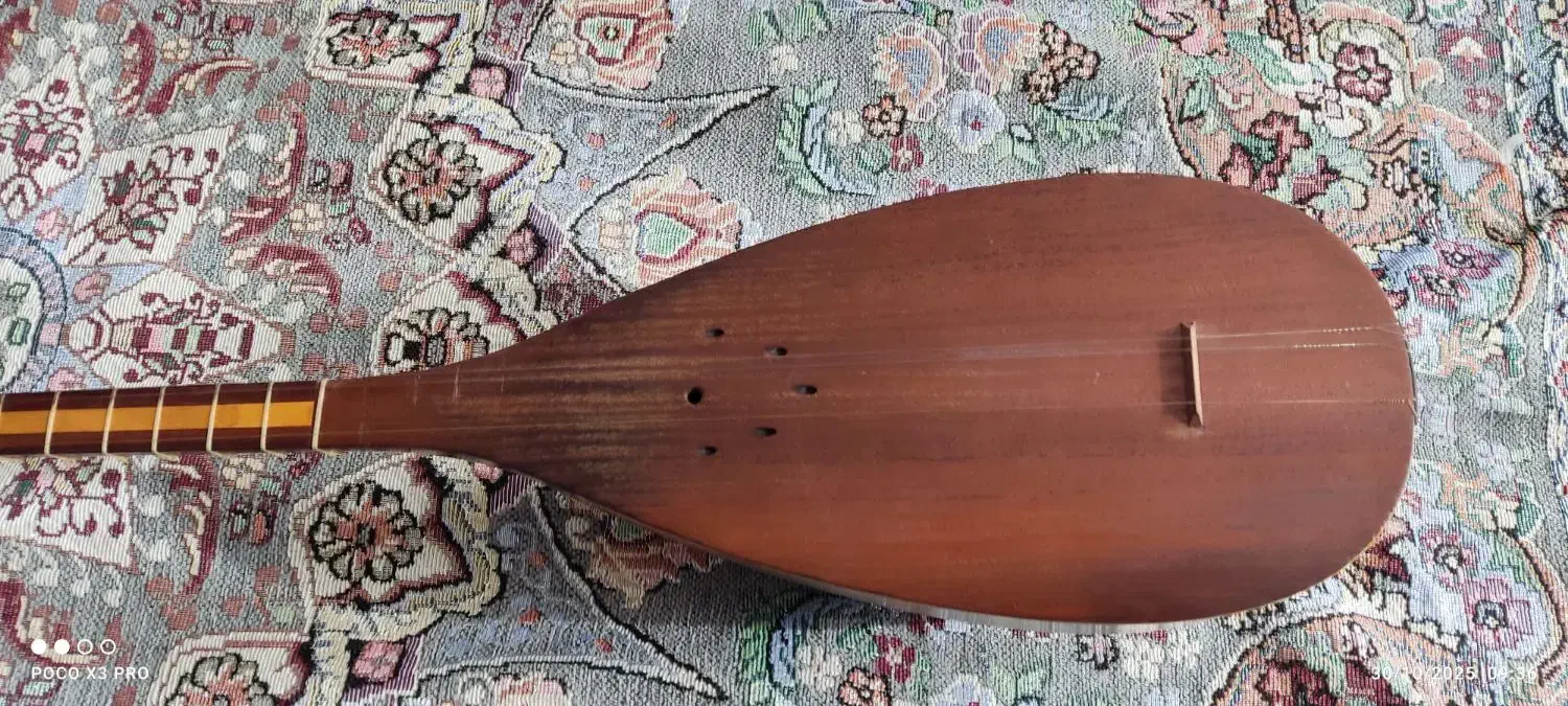 تنبور کارکرده، خوش صدا|سازهای سنتی|همدان, |دیوار