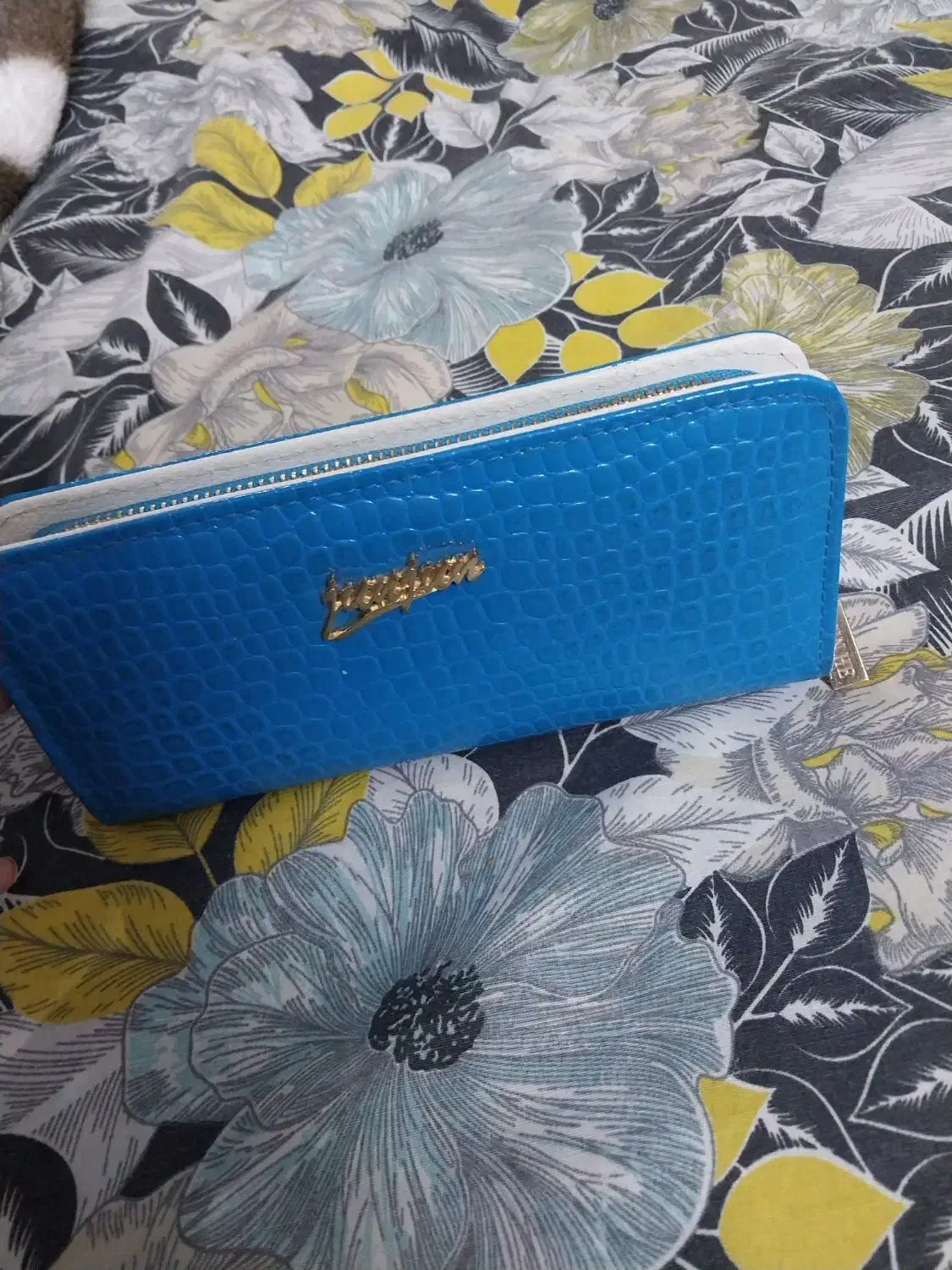 کیف پولی|کیف، کفش، کمربند|گلبهار, شهر جدید گلبهار|دیوار