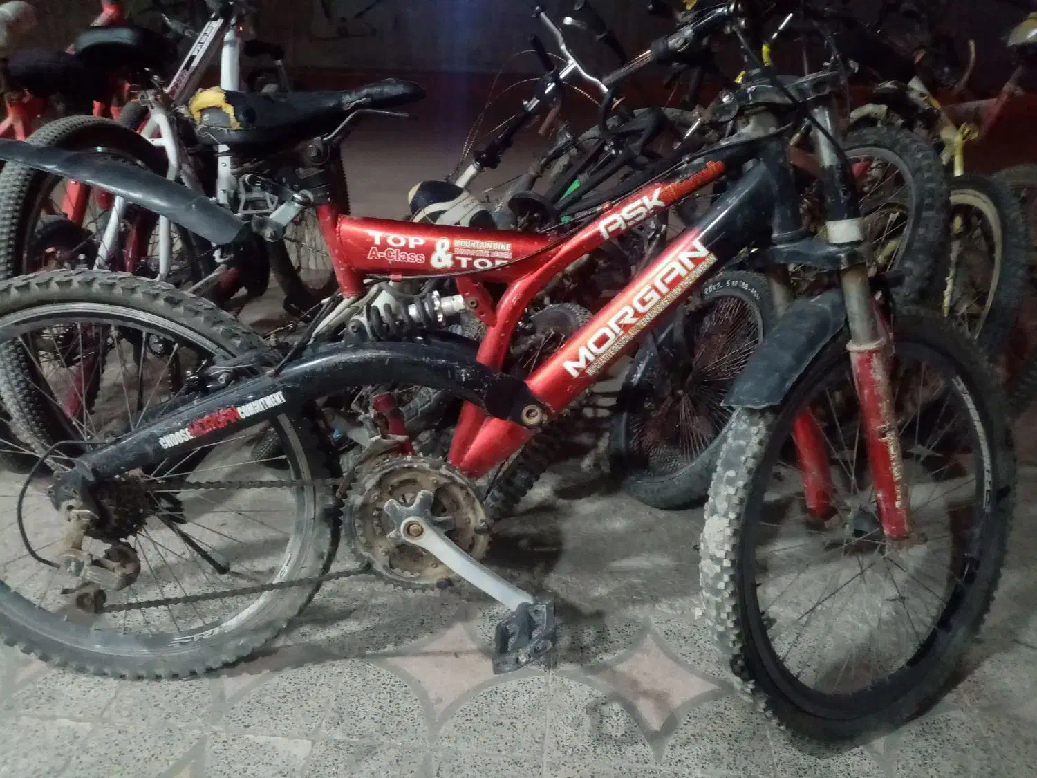 فروش فوری دوچرخه 24|دوچرخه، اسکیت، اسکوتر|برازجان, |دیوار