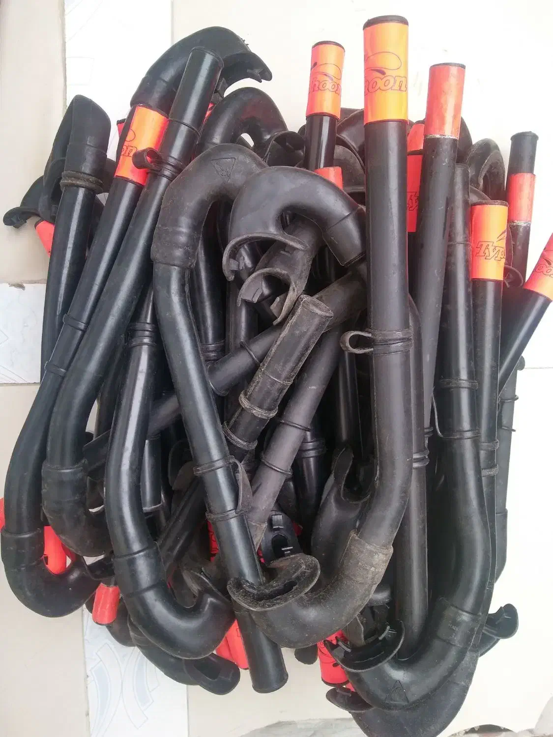 اسنور‌کل غواصی|غواصی و ورزش‌های آبی|رشت, چله خانه|دیوار