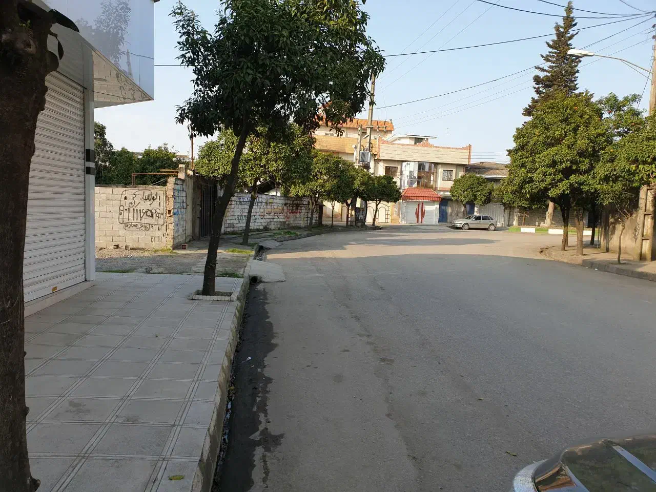 زمین ۱۸۵ متری با بر عالی و مناسب برای ویلاسازی|فروش زمین و ملک کلنگی|امیرکلا, |دیوار