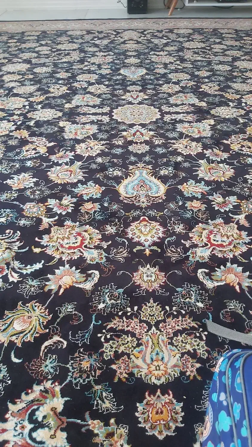 فرش نگین مشهد اصل|فرش|بروجرد, |دیوار