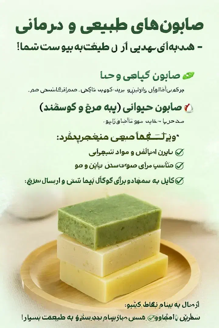 صابون خانگی سروبدن|آرایشی، بهداشتی، درمانی|تربت‌حیدریه, فتح المبین|دیوار