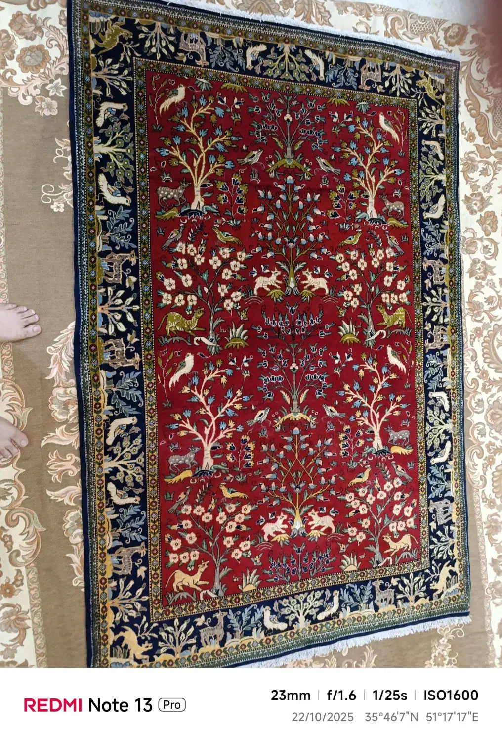 فرش دستباف طرح شکارگاه کاشان|فرش|تهران, شهران شمالی|دیوار