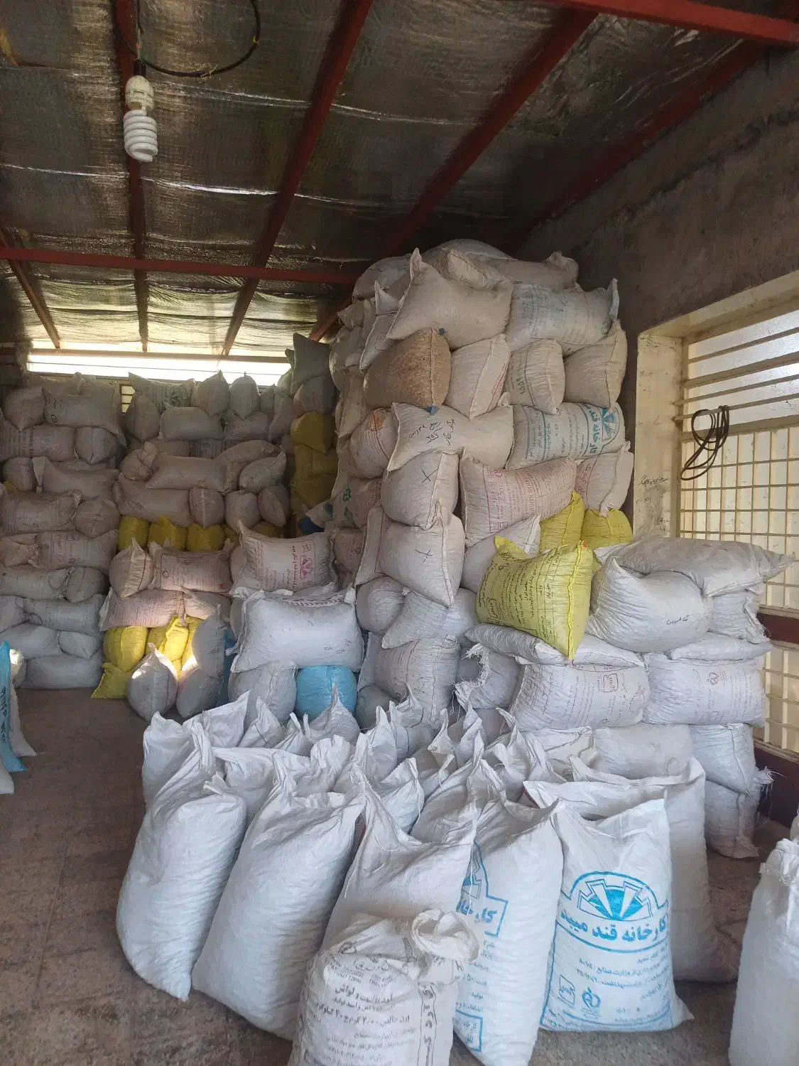 خریدار ارقام بادام بصورت نقدی بالاترین قیمت|خدمات باغبانی و درختکاری|شهرکرد, |دیوار