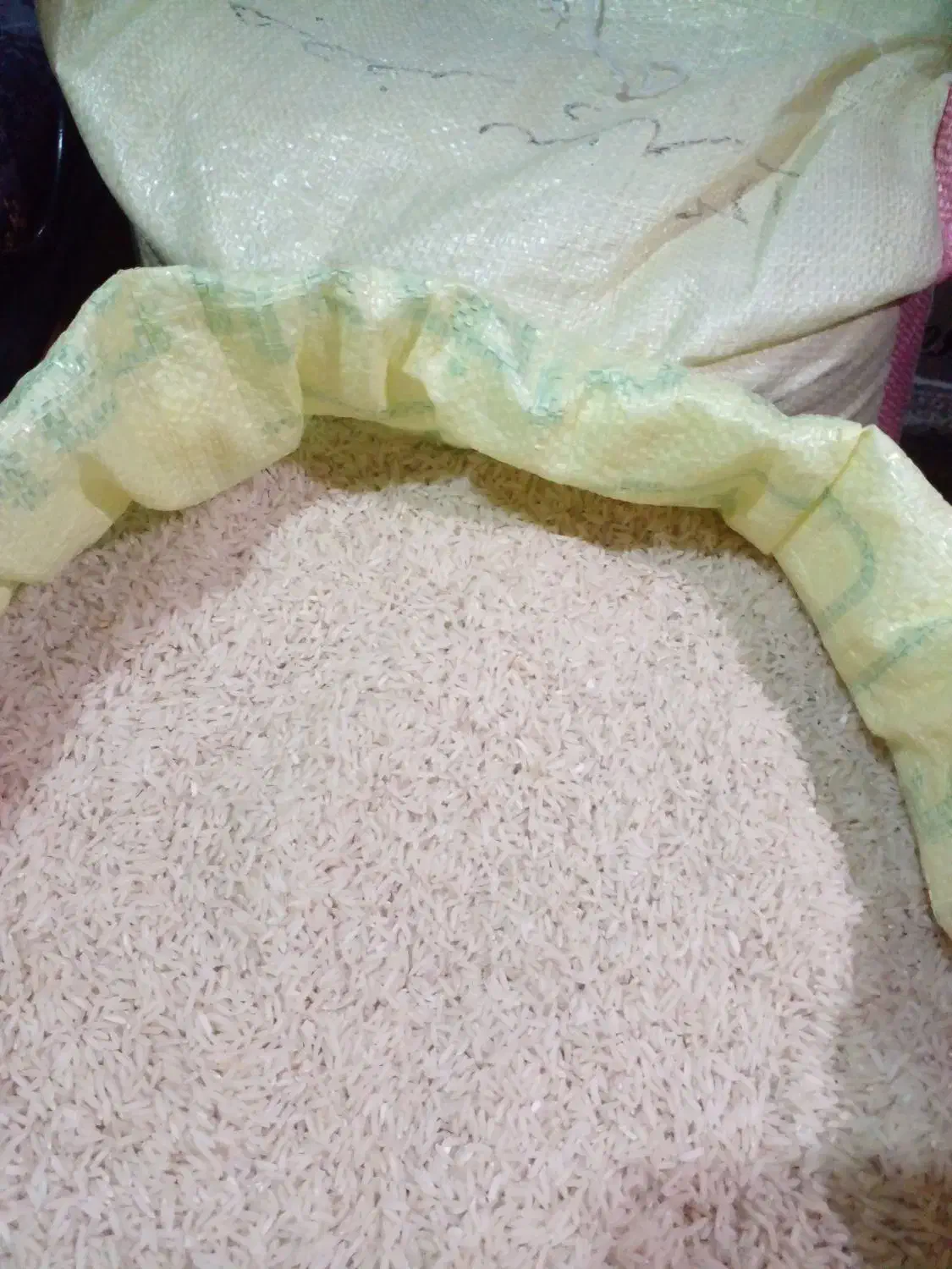 برنج راتون ورزاکی کشت دوم کاملا ارگانیک|خوردنی و آشامیدنی|املش, |دیوار