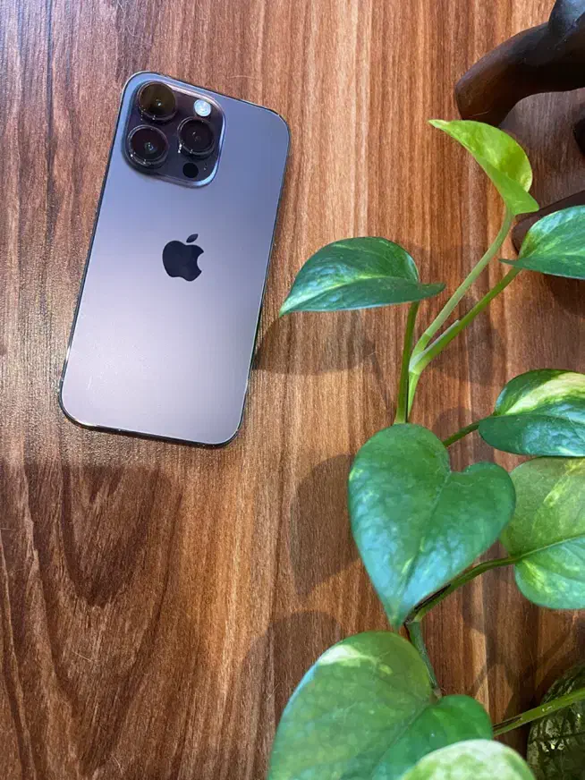 iphone 14 pro 256 ch باطری ۱۰۰|موبایل|رشت, لاکانی|دیوار