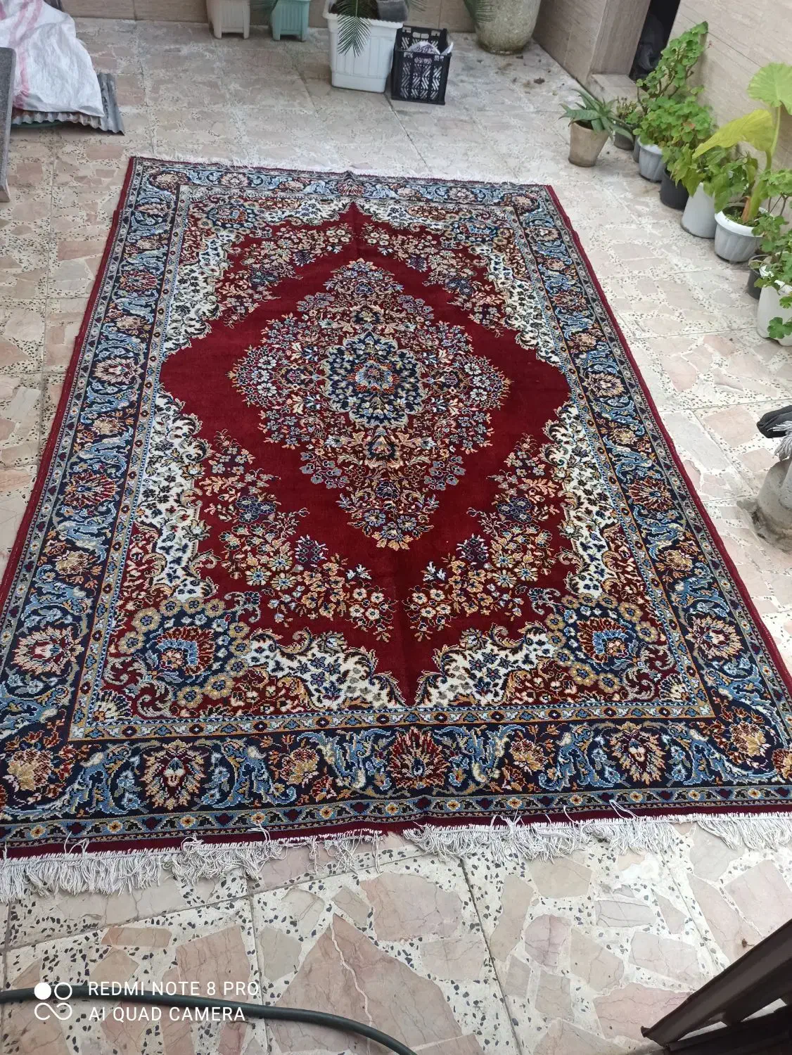 فرش 6 متری|فرش|رشت, دباغیان|دیوار