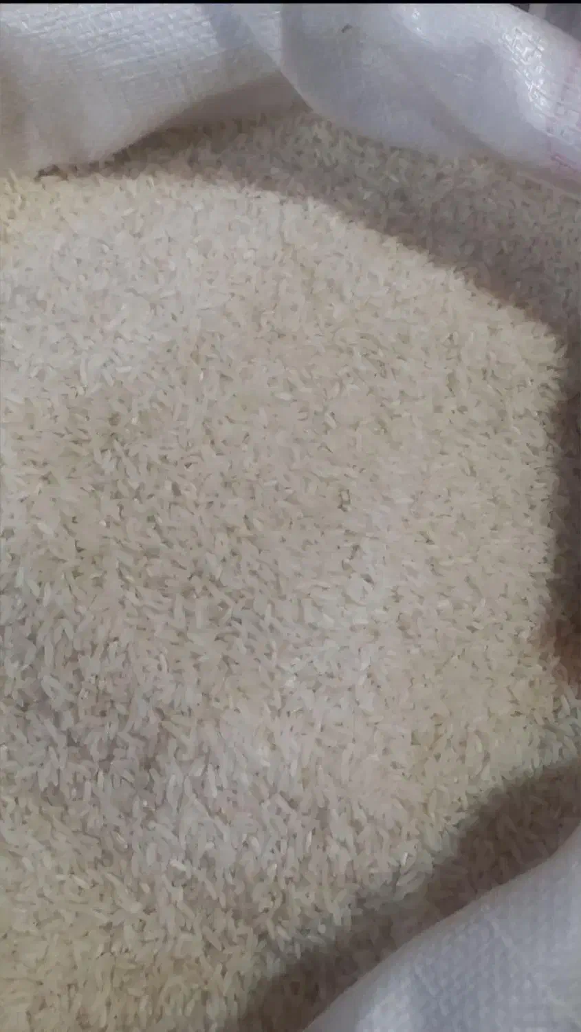 شکر|خوردنی و آشامیدنی|کرج, نوروزآباد|دیوار