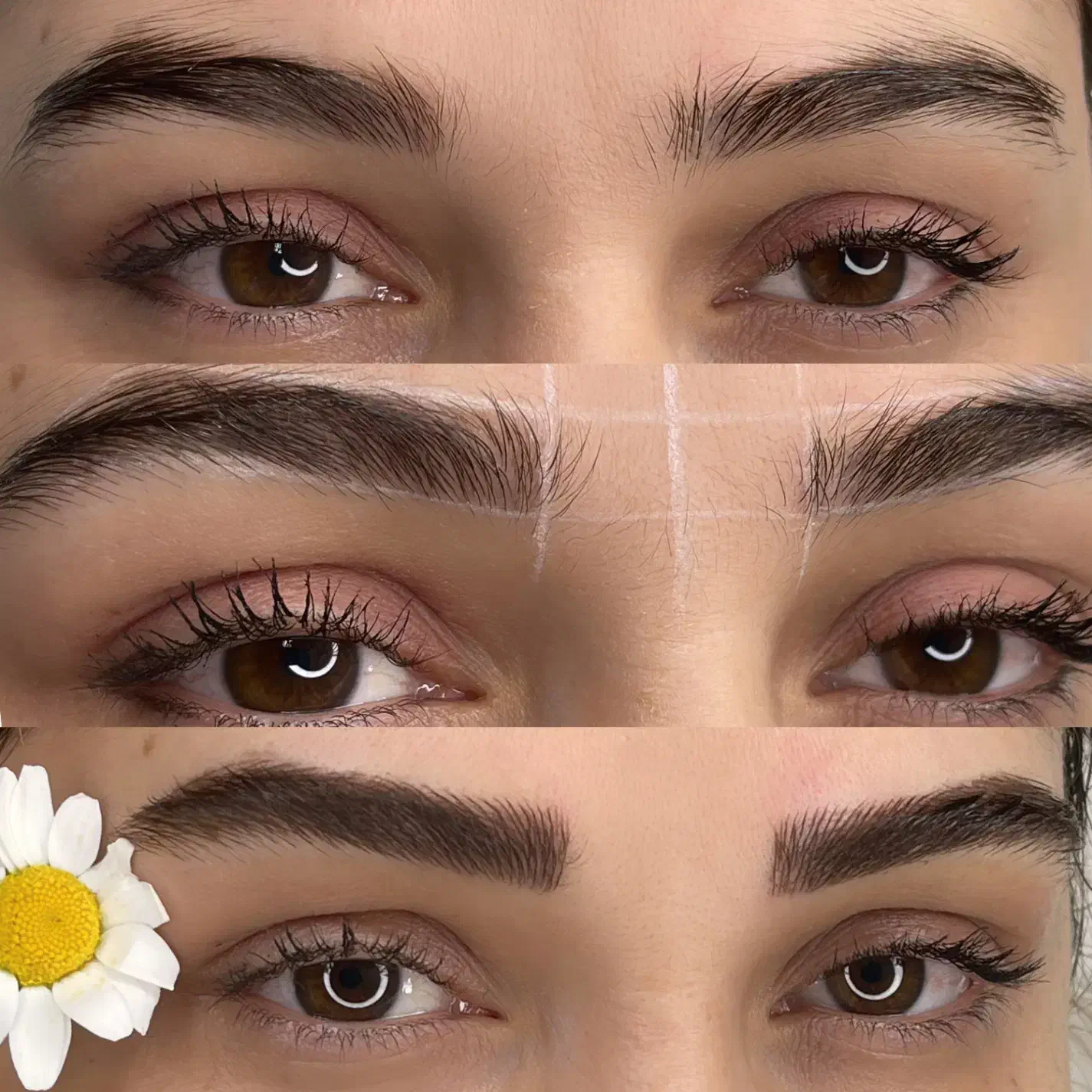 مدل میکروابرو و شید لب|خدمات آرایشگری و زیبایی|نوشهر, |دیوار