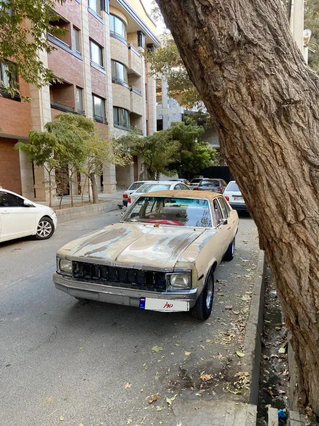 شولت شورولت نوا سی ۳ دنده دستی ۶۵|خودرو کلاسیک|اندیشه, اندیشه فاز ۳|دیوار