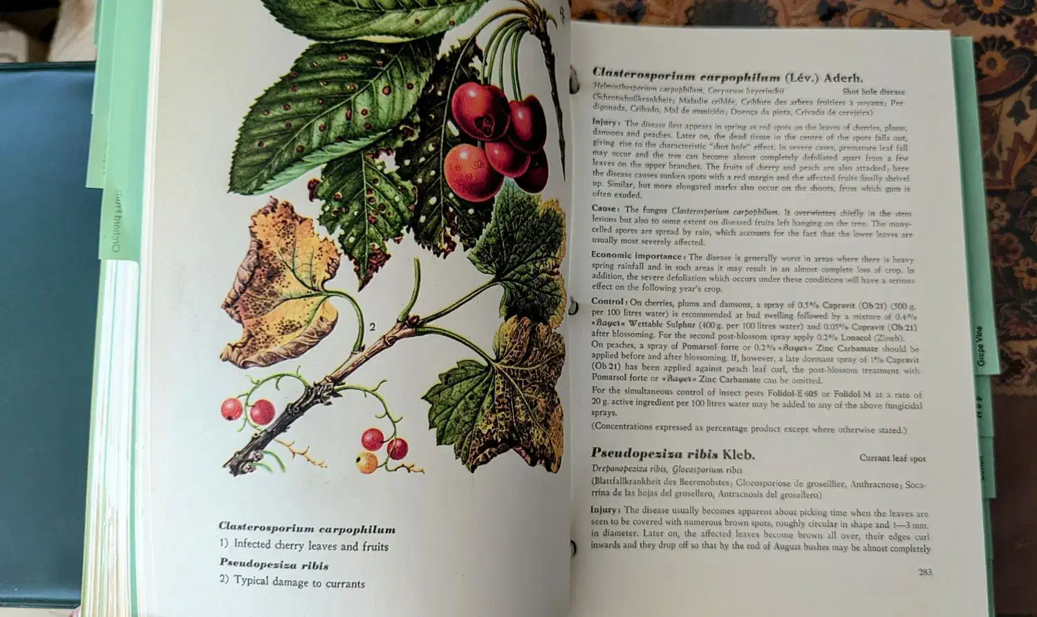 هندبوک و کتاب مرجع آفات کشاورزی بایر آلمان|کتاب و مجله آموزشی|تهران, فلسطین (میدان انقلاب)|دیوار