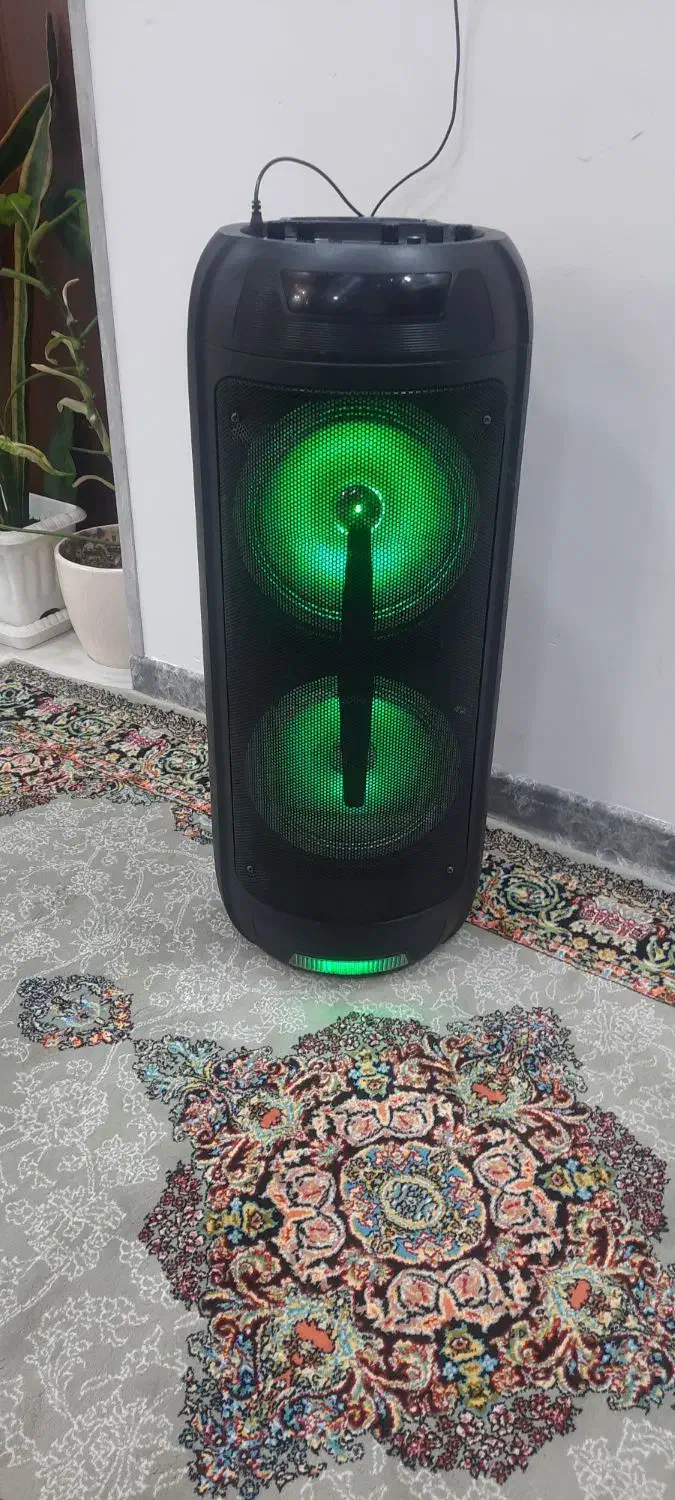 اسپیکر|سیستم صوتی خانگی|شیراز, لشکری‎|دیوار