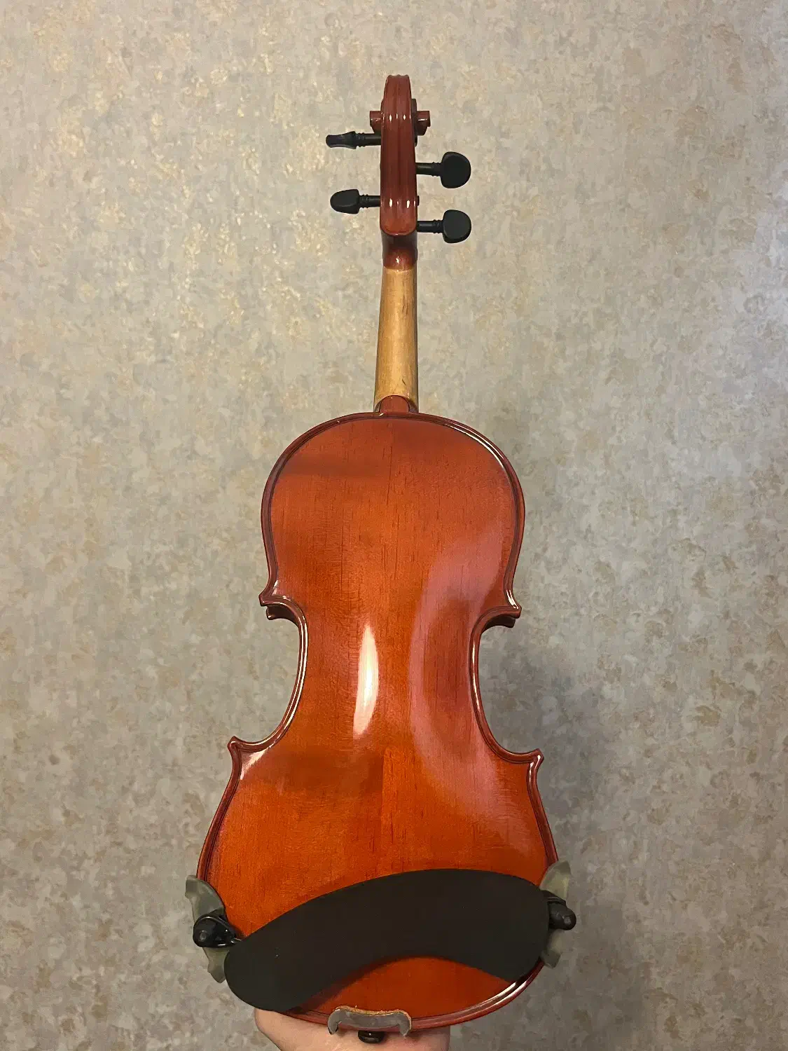 ویولن ۲/۴|ویولن|قزوین, |دیوار