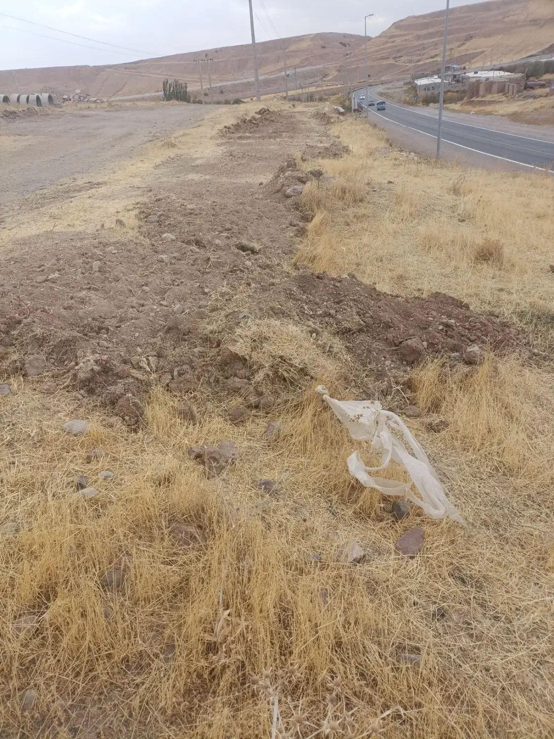 کودگوسفندی|خدمات باغبانی و درختکاری|میانه, |دیوار