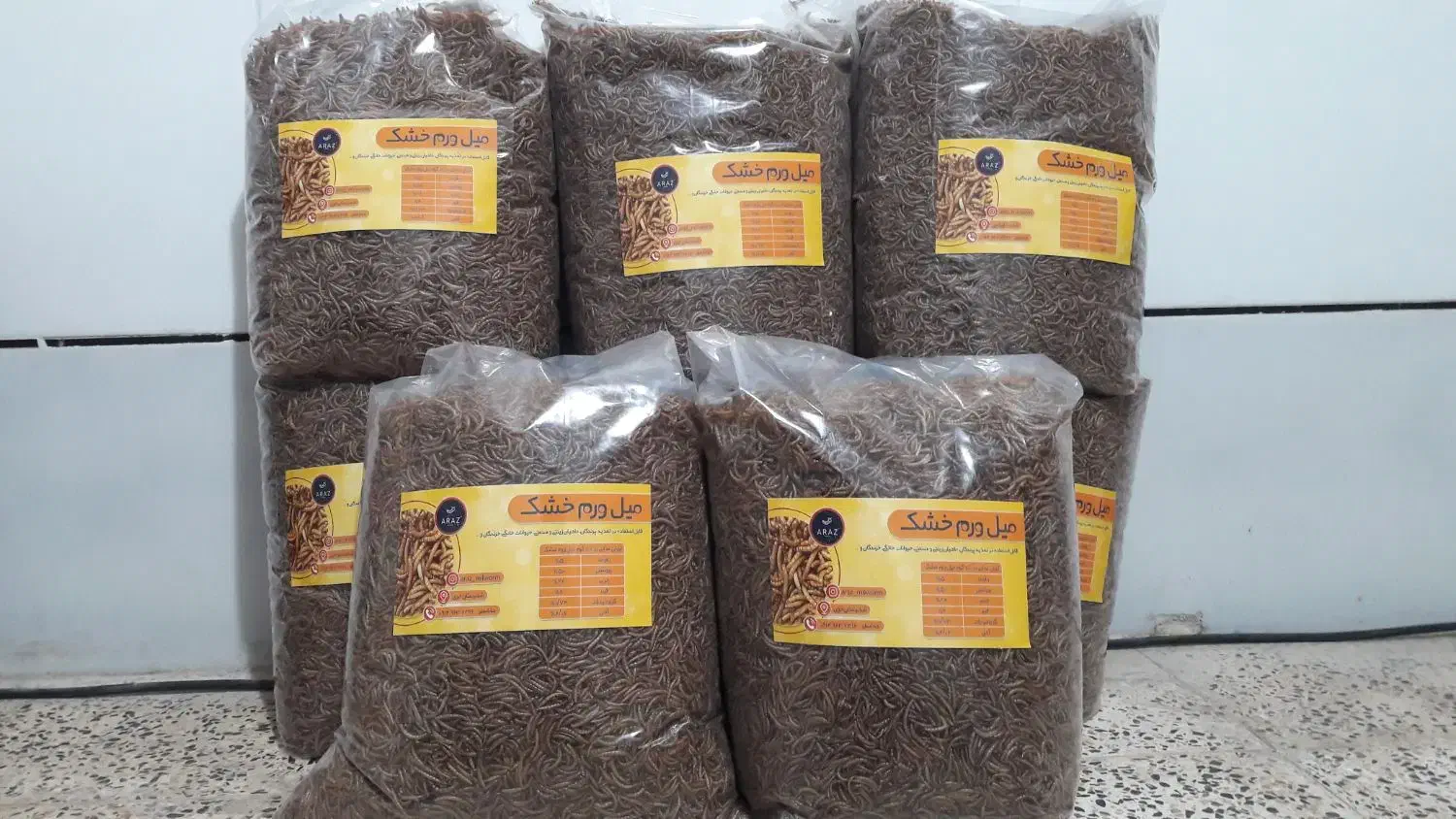 میلورم زنده و خشک|لوازم جانبی حیوانات|خوی, |دیوار