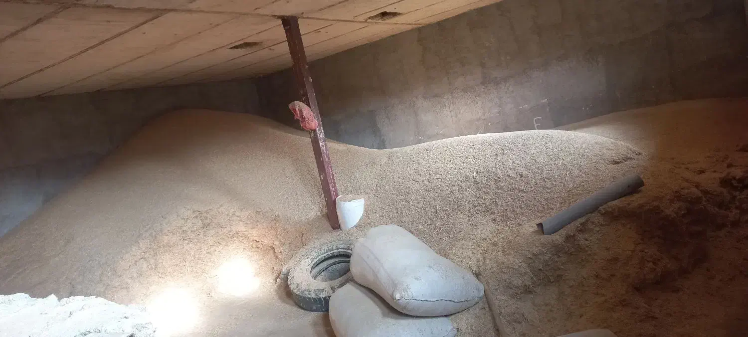 کاه آبی و دیم فله تمیز عالی|حیوانات مزرعه|الشتر, |دیوار