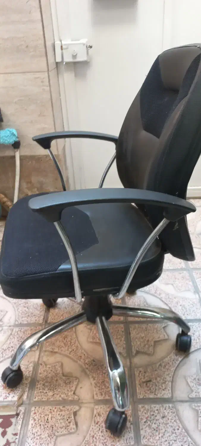 سالم درحدنو|صندلی و نیمکت|قدس, شهرقدس|دیوار