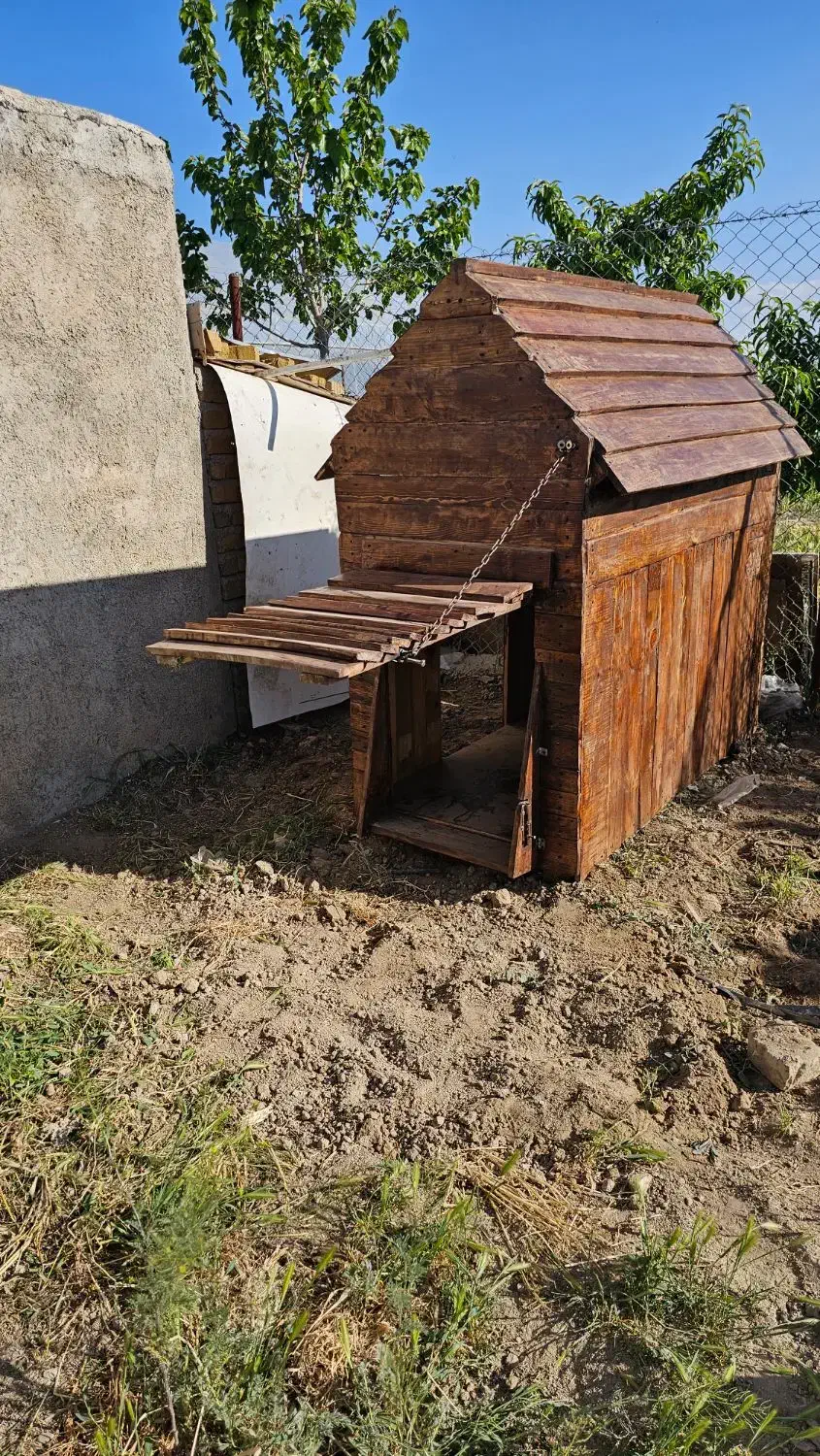 خانه لوکس و مقاوم سگهای بزرگ|لوازم جانبی حیوانات|باغستان, |دیوار