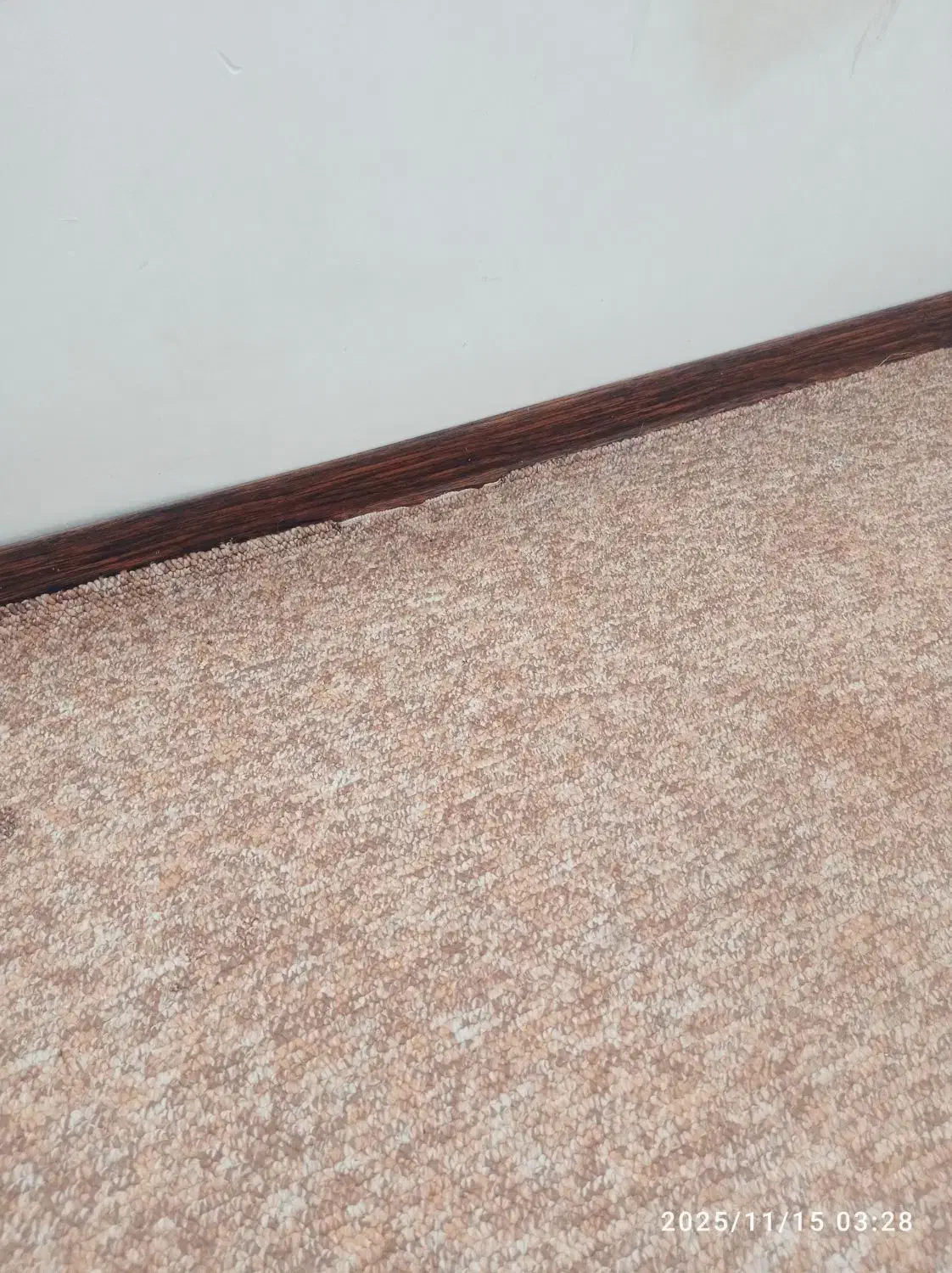 موکت جنس عالی رنگ نص کافه ای|موکت|زاهدان, |دیوار
