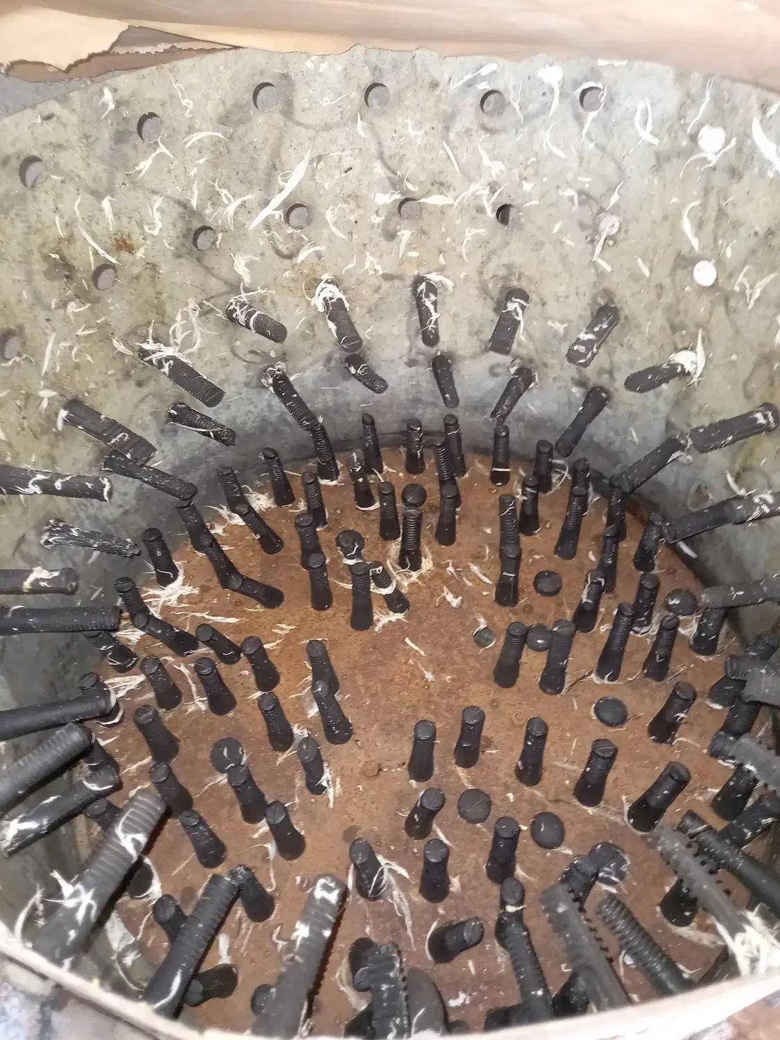 پرکن|لوازم جانبی حیوانات|یاسوج, |دیوار