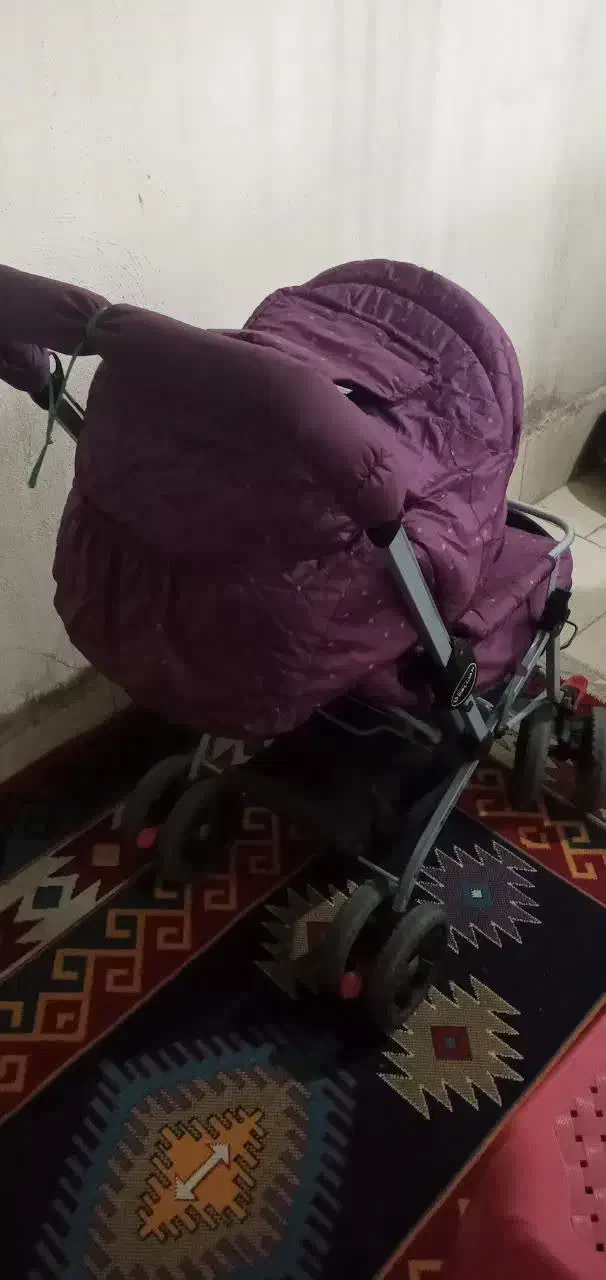 کالسکه و کریر دلیجان|کالسکه و لوازم جانبی|فردیس, منظریه|دیوار