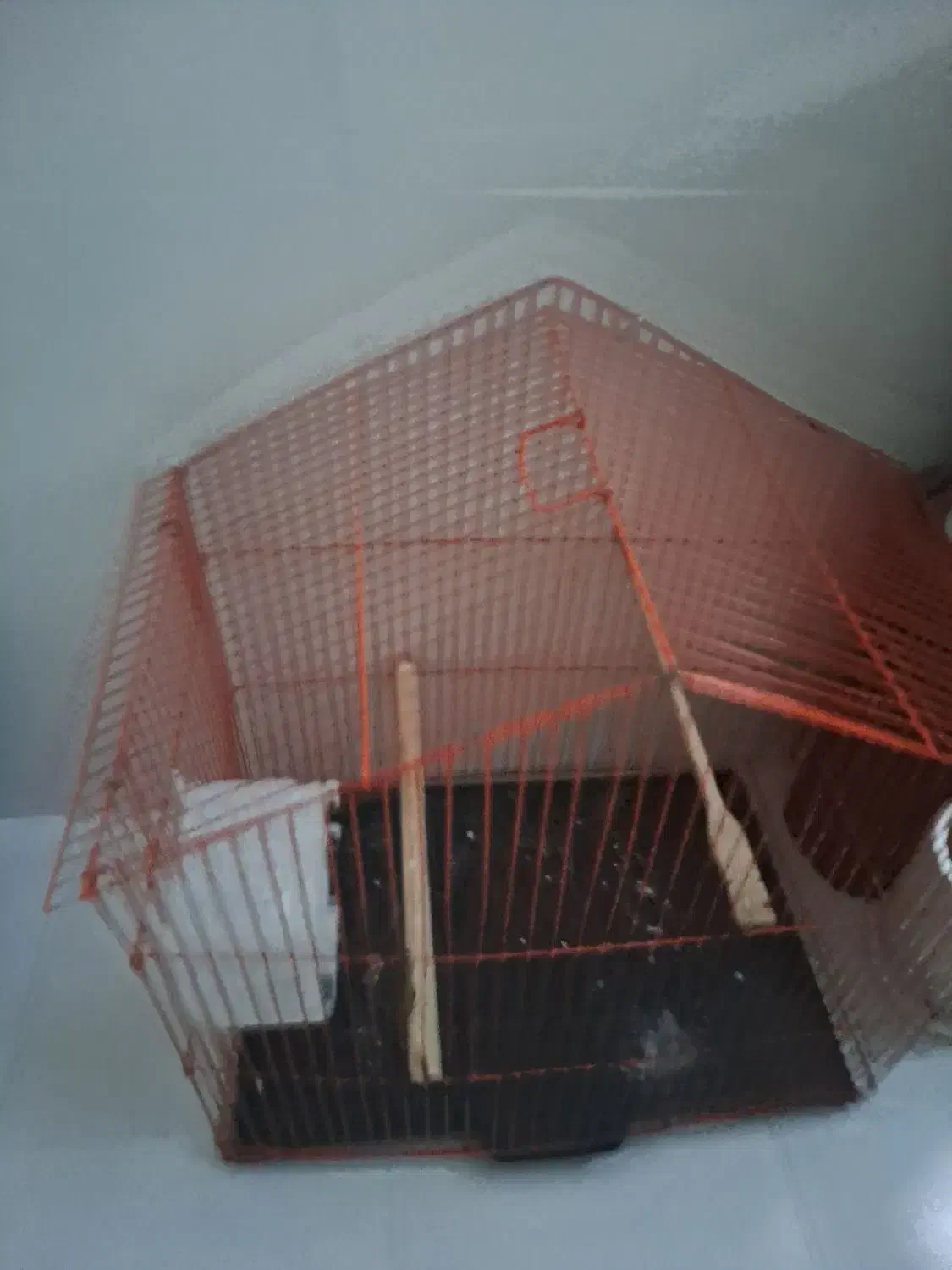 قفس پرنده|لوازم جانبی حیوانات|قرچک, باقرآباد|دیوار