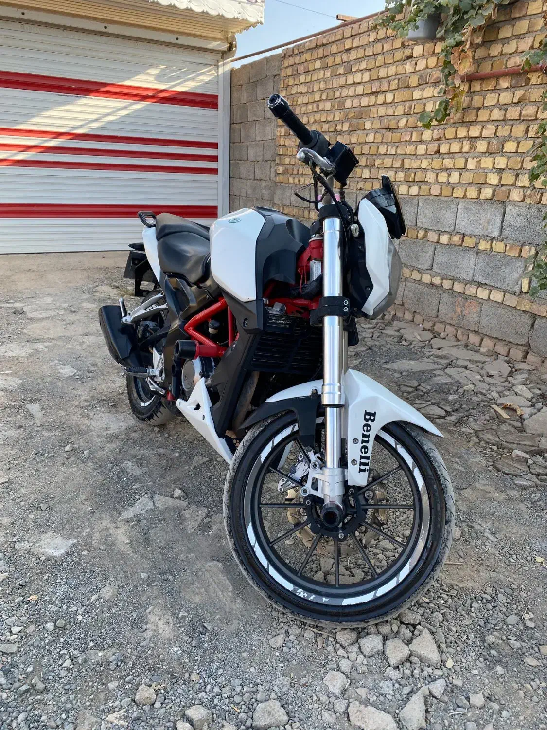 موتور بنلی ۲۵۰ مدل ۹۶مدارک کامل|موتورسیکلت|سبزوار, امیر کبیر|دیوار