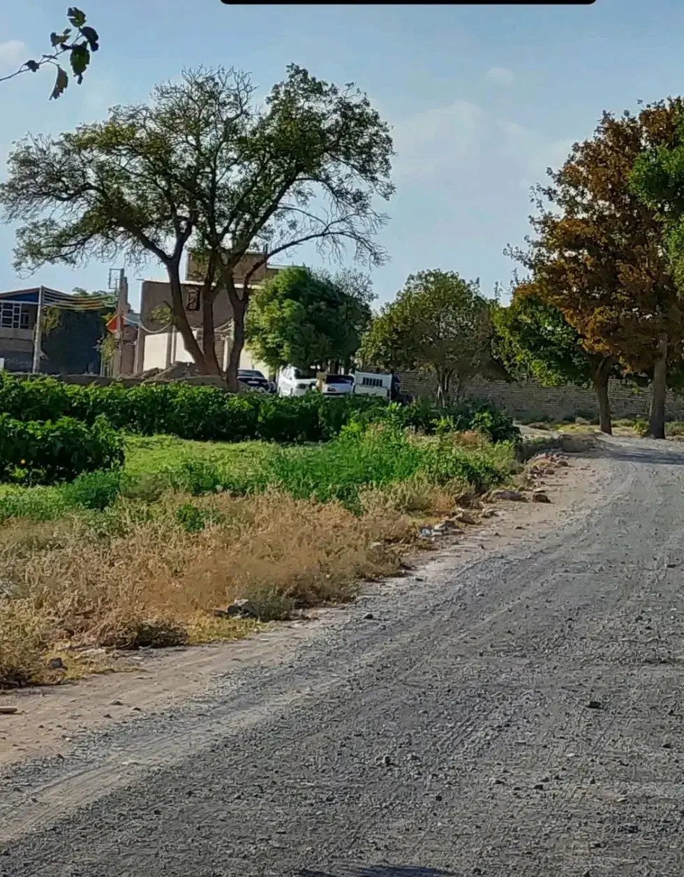 زمین روستا قاضی پایین 1000 متر مدارک تکمیل|فروش زمین و ملک کلنگی|سلفچگان, |دیوار