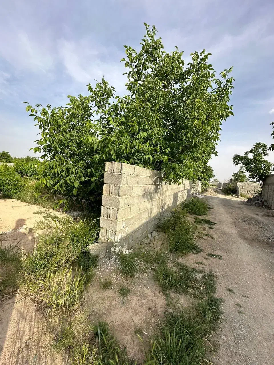 زمین 250متری به بالا باسند تکبرگ|فروش زمین و ملک کلنگی|شاهدشهر, |دیوار
