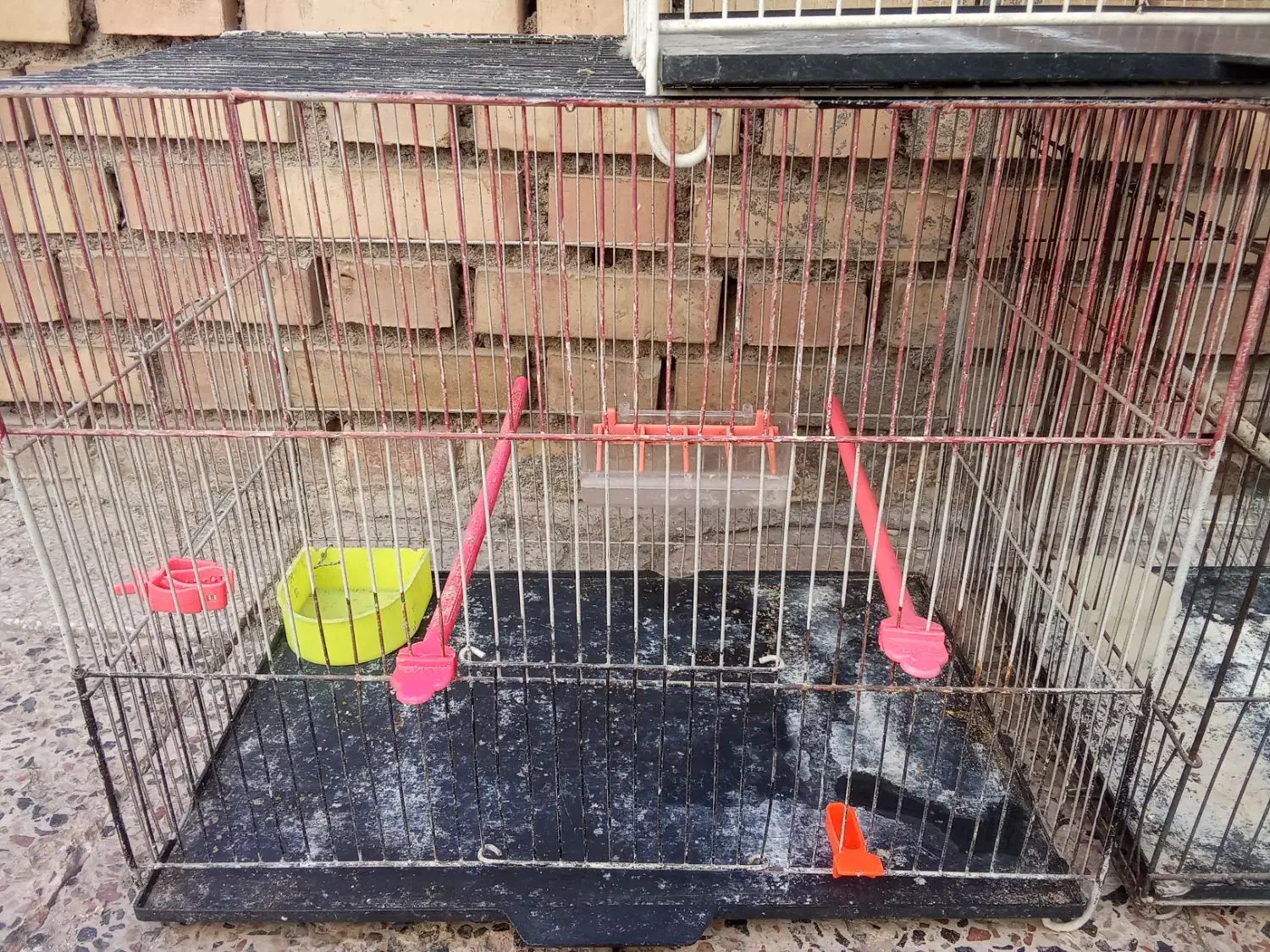 قفس پرنده|لوازم جانبی حیوانات|مشهد, تلگرد|دیوار