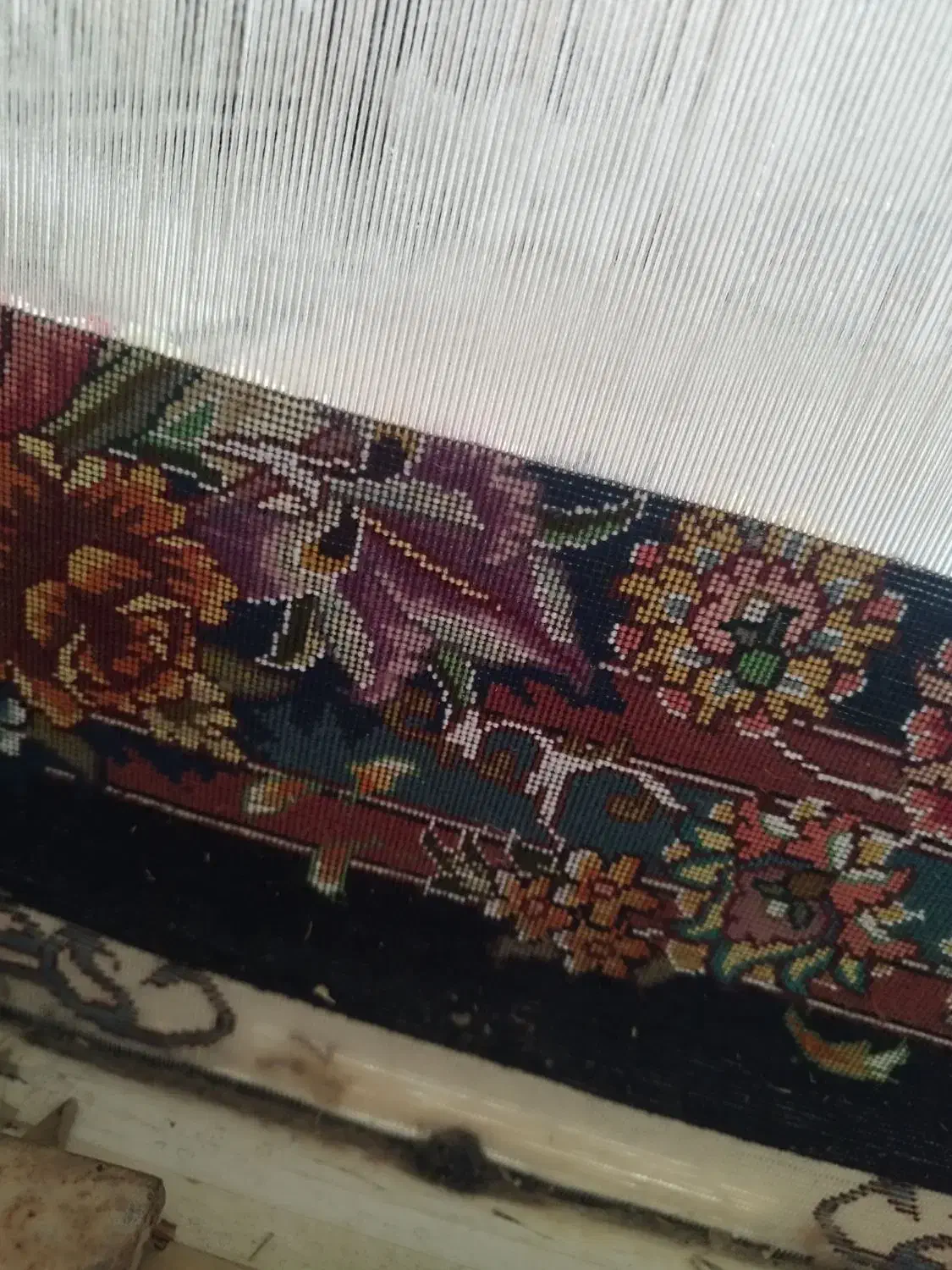 فرش نیمه کاره شش متر سالاری رج 50|فرش|تبریز, |دیوار